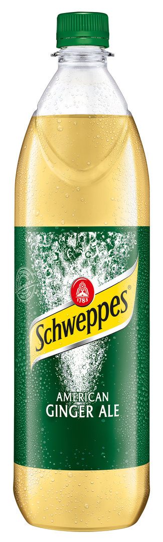 Schweppes Ginger Ale 6x1,0 PET